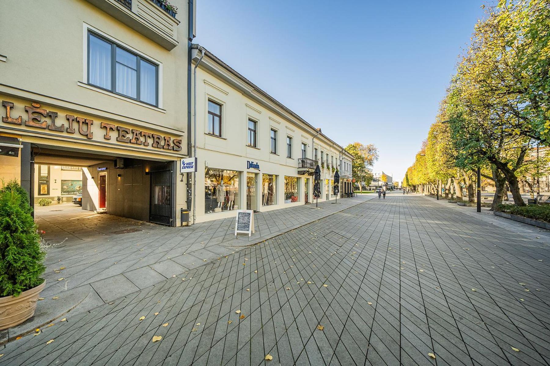 Central Park Apartments - The Luxury Collection Kaunas Bagian luar foto