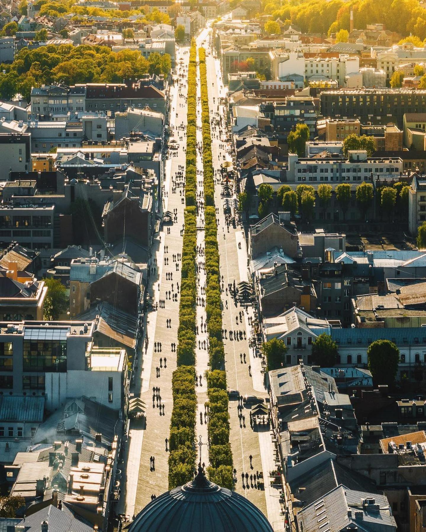 Central Park Apartments - The Luxury Collection Kaunas Bagian luar foto