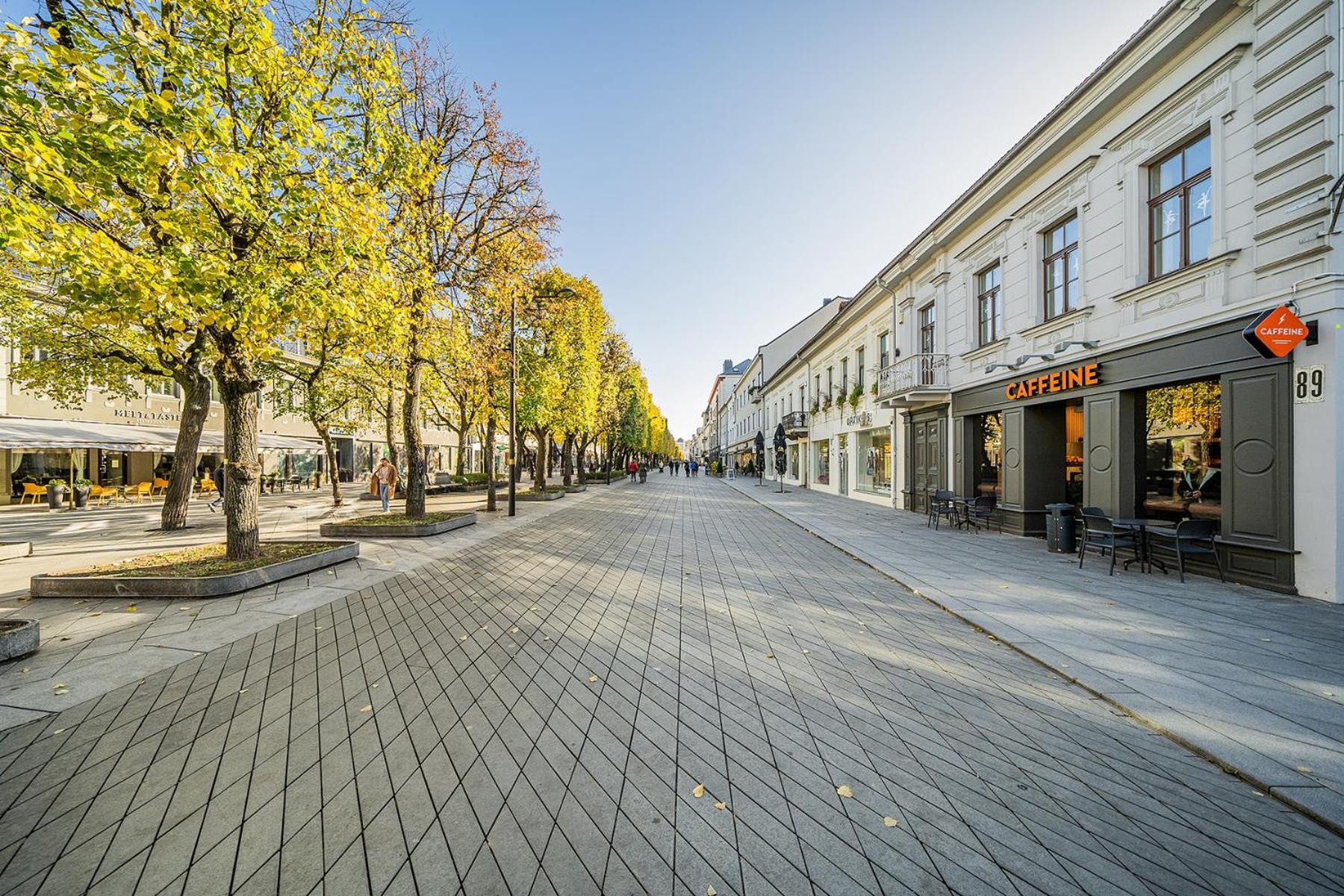 Central Park Apartments - The Luxury Collection Kaunas Bagian luar foto